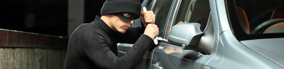 Обезбедите и пратите Ваше возило